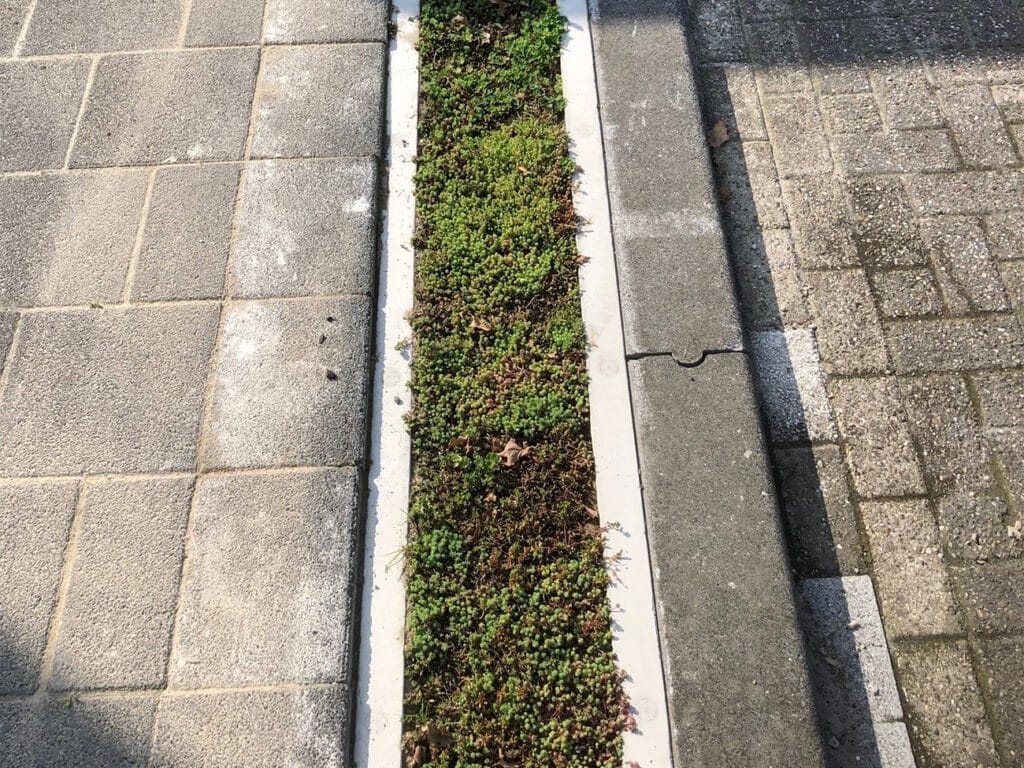 Wanneer kwaliteit en innovatie samenvloeien