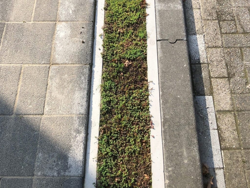 COOL CITY DRAIN 1 1