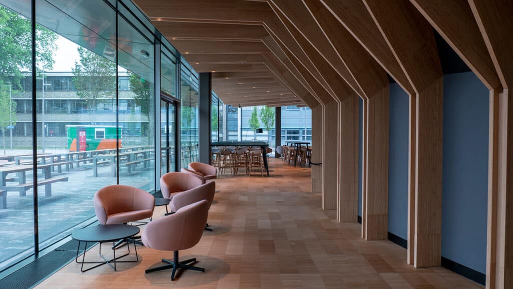 Bamboe in Echo, Delft University of Technology