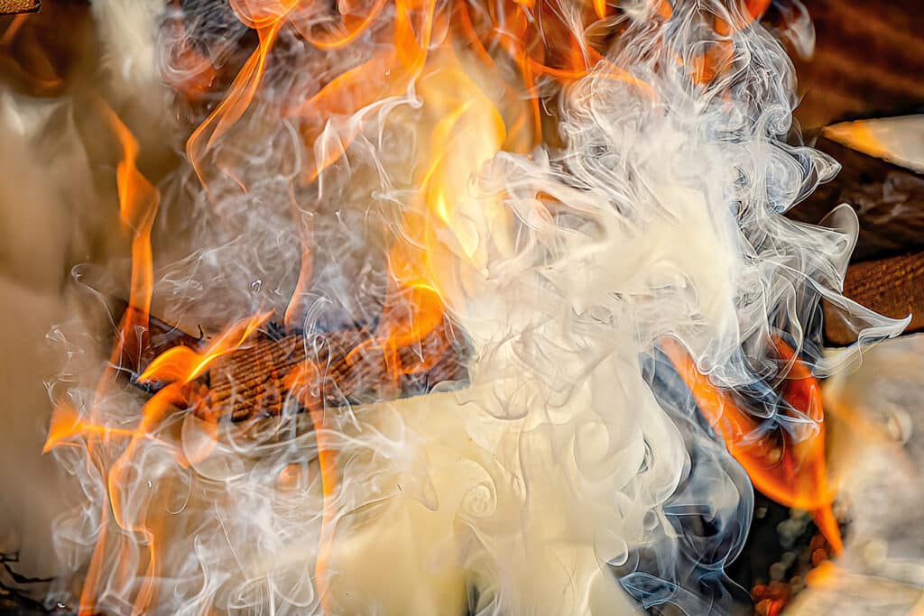 ricardo gomez angel BjqFEPt06Hg unsplash