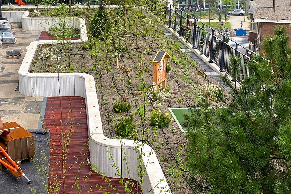 Meesterwerk in dakbedekkingen en isolatie