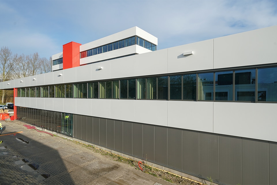 Bergman 4 Exemplar