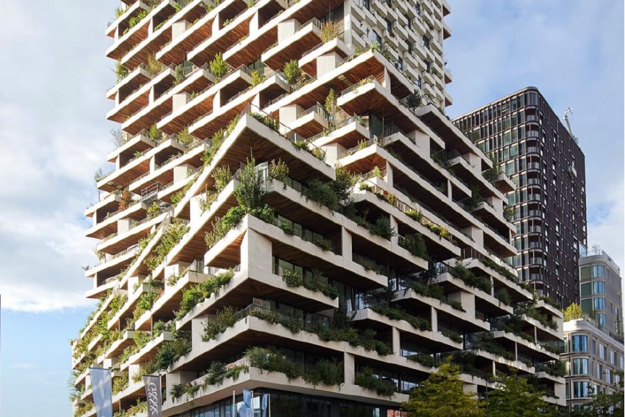 De perfecte houten touch voor Wonderwoods