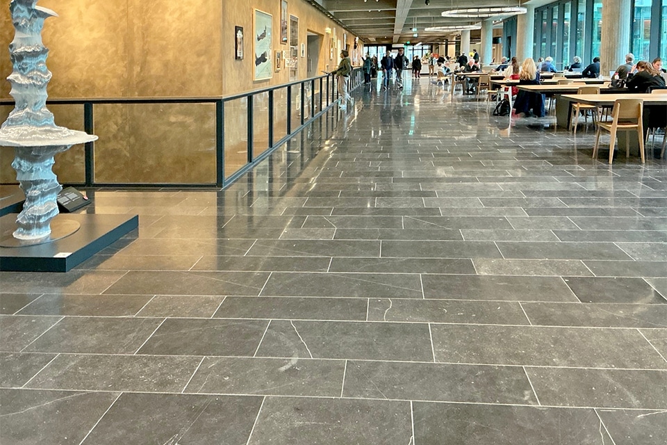 IMG 0722 0001 copy