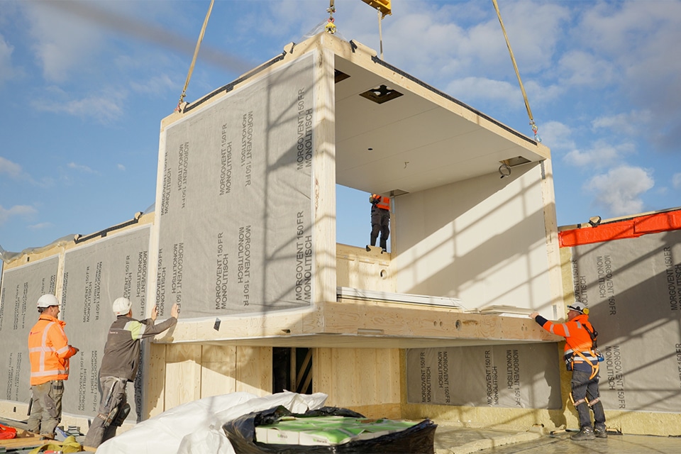 Wood construction in the lead at Xylino in Almere 2