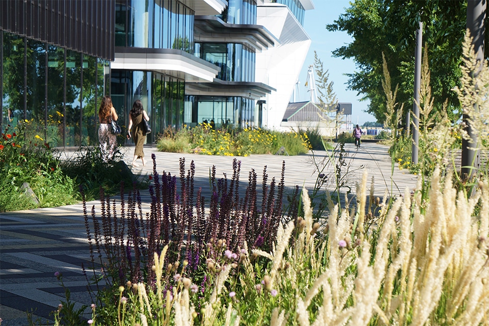 Impressive green roof garden at Danzigerkade 5
