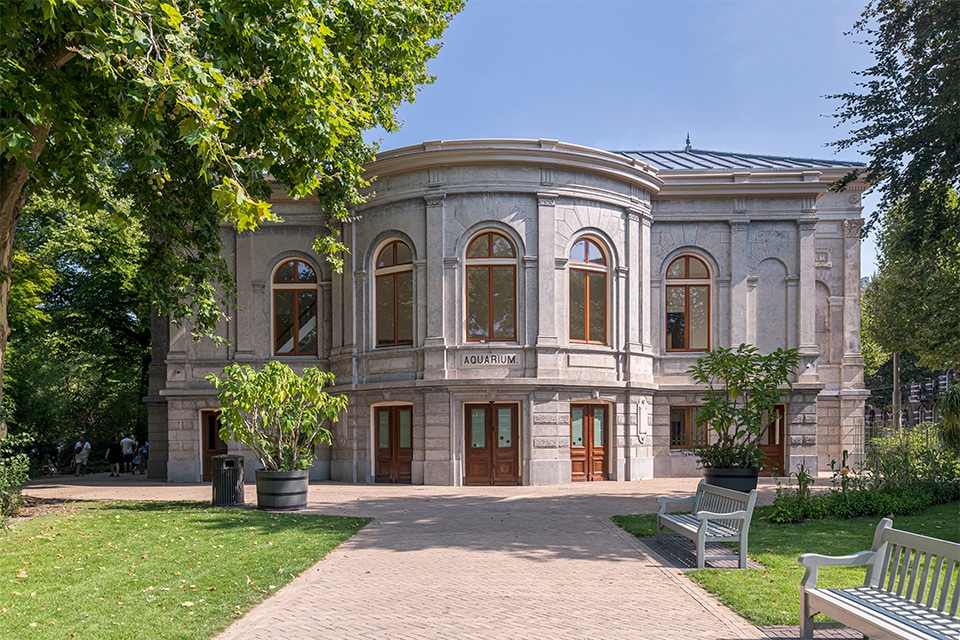 Vier jaar restauratie zet ARTIS’ monumentale Aquarium opnieuw in beweging 2