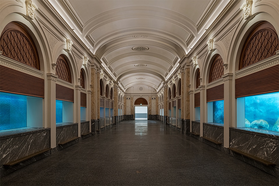 Vier jaar restauratie zet ARTIS’ monumentale Aquarium opnieuw in beweging 1