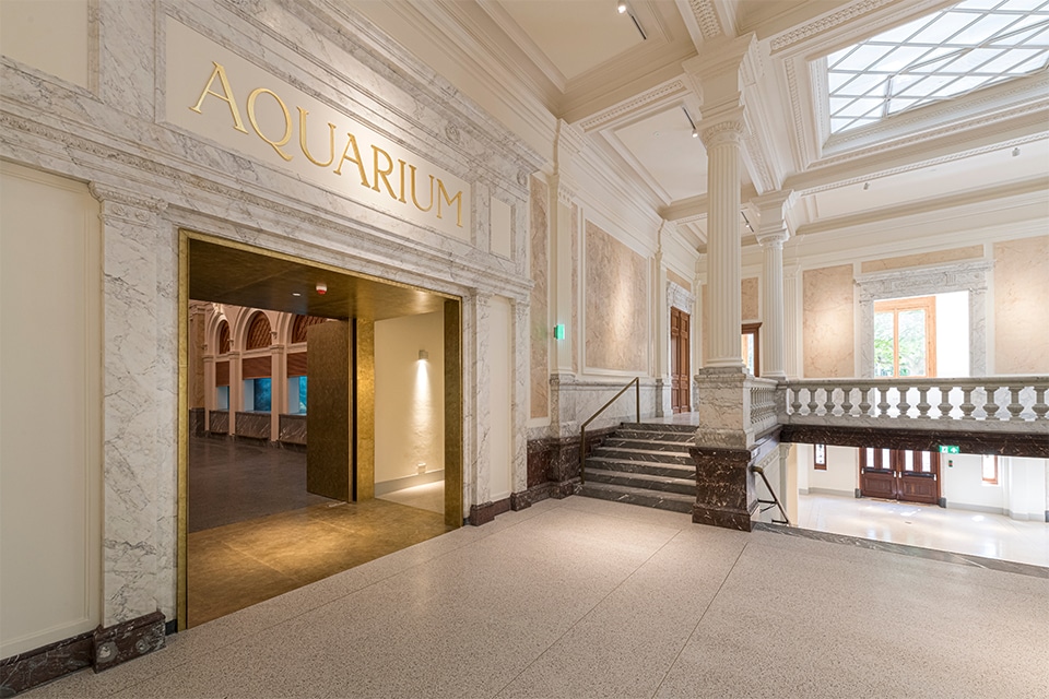 Vier jaar restauratie zet ARTIS’ monumentale Aquarium opnieuw in beweging 3