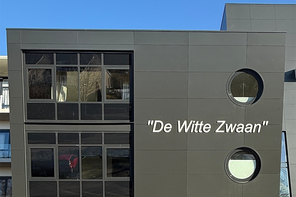 Classy window frames for village icon The White Swan 1