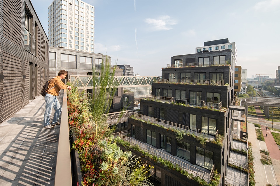 Kavel O: stepping stone voor biodiversiteit 2