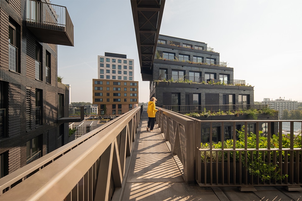 Kavel O: stepping stone voor biodiversiteit 1