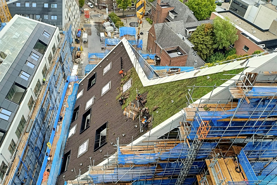 Gründächer an steilen Hängen 3