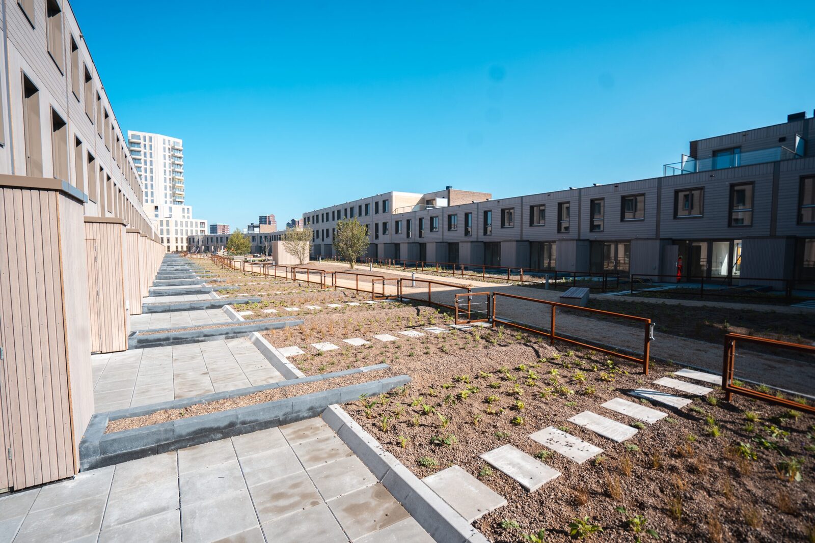 Samenwerking legt stevige basis voor groene daken 2